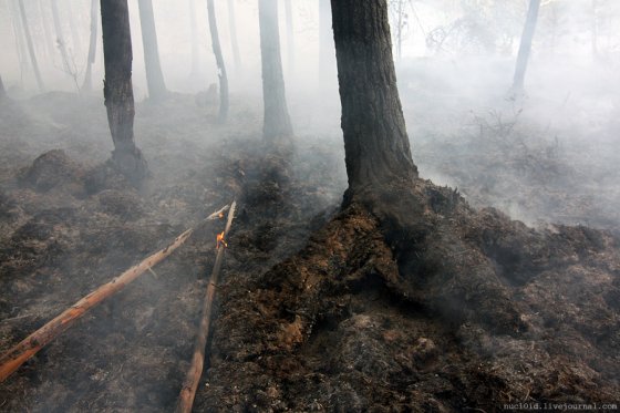 В Свердловской области вновь заполыхали пожары