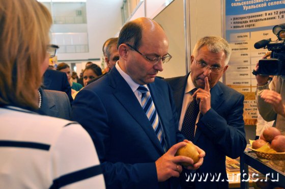 Цены на картофель стали центральной темой обсуждения на выставке «Дары осени»