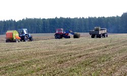 Уходим с полей: в Свердловской области сократится объем урожая