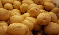Раз — картошка, два — картошка: цены на картофель в Свердловской области будут расти Фотография предоставлена сайтом www.morguefile.com