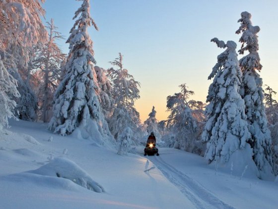 Снегоходная трасса на севере Свердловской области. Фотография предоставлена ООО «Клуб искателей приключений»