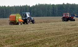 Собраться в срок: дождливое лето может сорвать подготовку кормов в Свердловской области