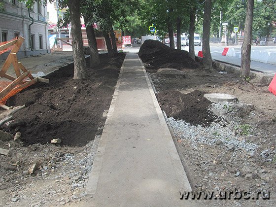 Власти Екатеринбурга могут демонтировать велодорожки на пр. Ленина из-за недовольства горожан