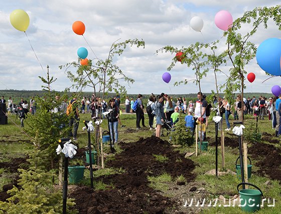 В Екатеринбурге высадили первые деревья в парке Преображенский в районе Академический