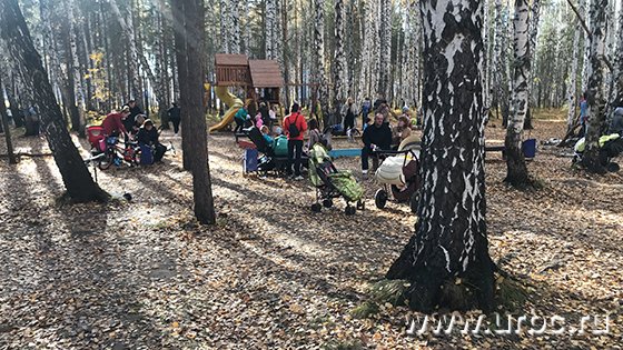 «Березовую рощу» в Екатеринбурге признали полноценным лесом