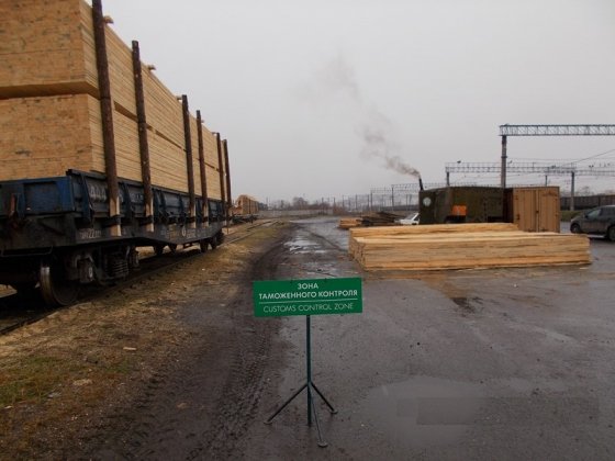 Уральские таможенники и ФСБ пресекли контрабанду леса в Казахстан и Киргизию на сумму на 1,5 млн рублей