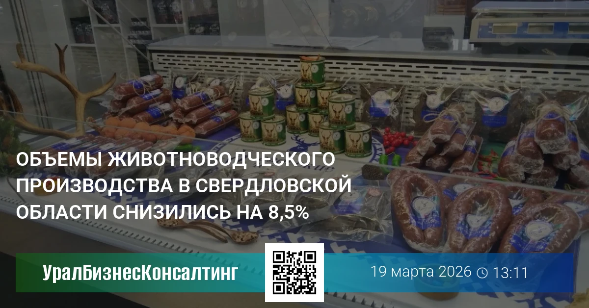 Объемы животноводческого производства в Свердловской области снизились на 8,5%