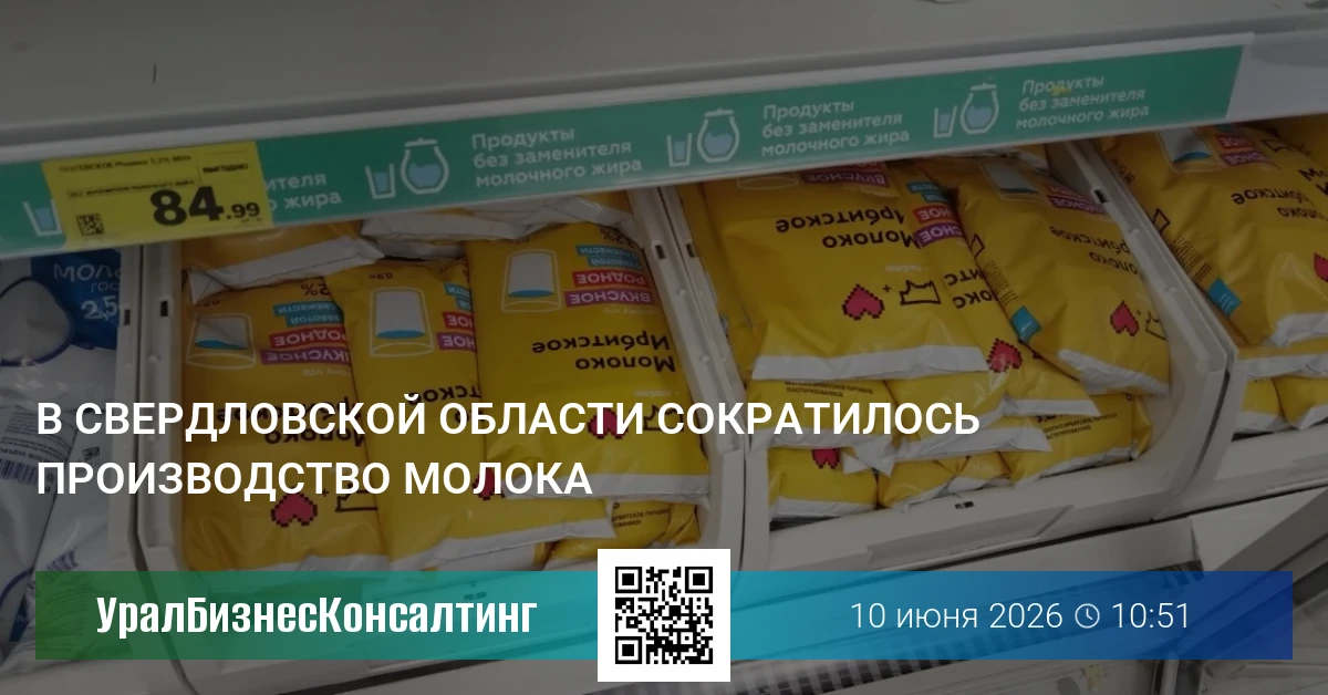 В Свердловской области сократилось производство молока
