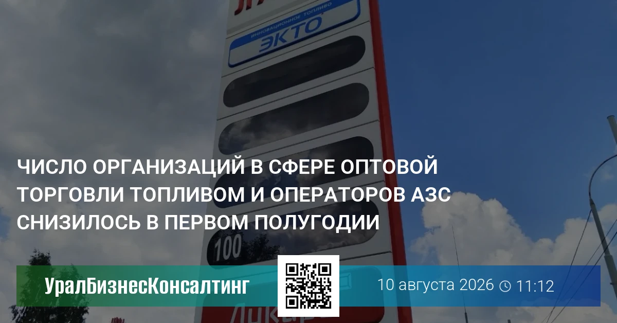 Число организаций в сфере оптовой торговли топливом и операторов АЗС снизилось в первом полугодии