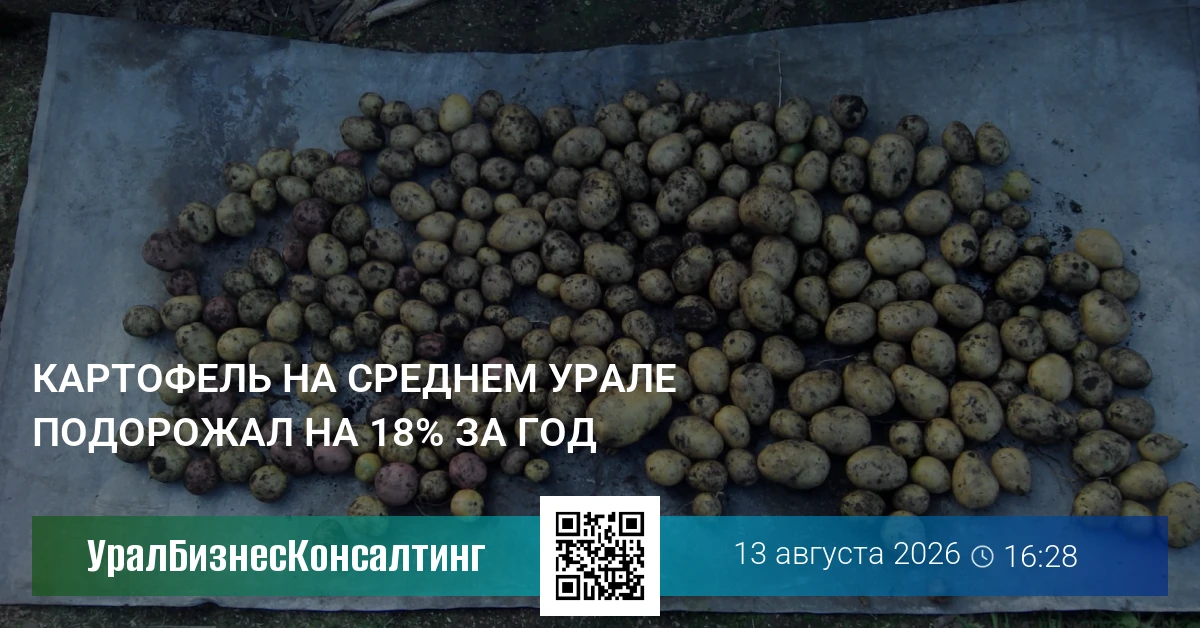 Картофель на Среднем Урале подорожал на 18% за год