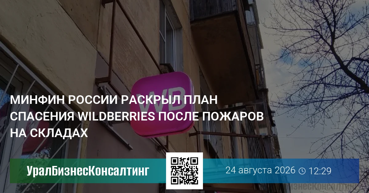 Минфин России раскрыл план спасения Wildberries после пожаров на складах