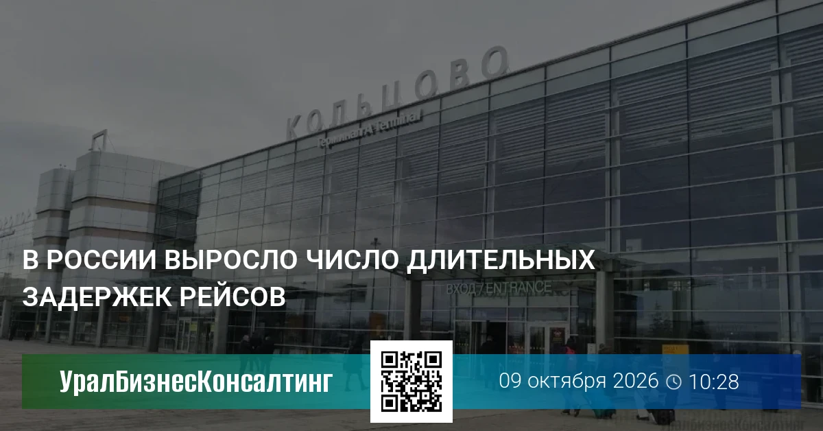 В России выросло число длительных задержек рейсов