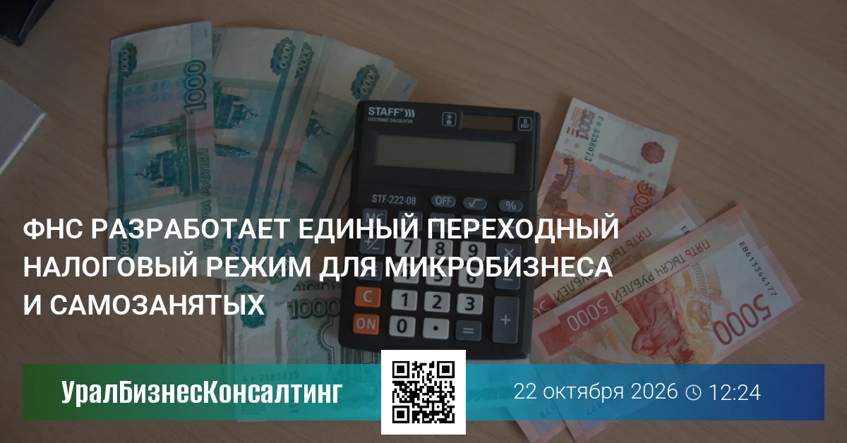 ФНС разработает единый переходный налоговый режим для микробизнеса и самозанятых