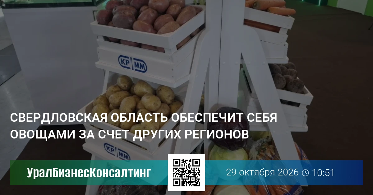 Свердловская область обеспечит себя овощами за счет других регионов