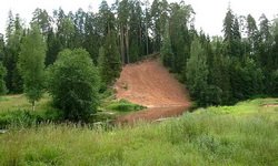 В Свердловской области началась бесплатная раздача земли. Фотография Андреевой А.О.