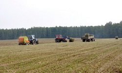 Свердловская область готова заработать на засухе