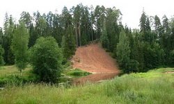 Земля в Свердловской области дешевеет
