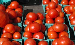 Возврат овощей из ЕС на российские прилавки не гарантирует снижения цен. Фотография предоставлена сайтом www.morguefile.com