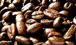 Кофе-кризис: цены на зерна растут. Фотография предоставлена сайтом www.morguefile.com