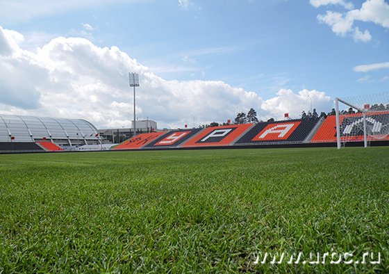 Новое покрытие футбольного поля прекрасно прижилось на стадионе