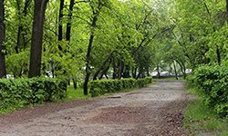 Парк «Екатерининский»: полная реконцепция пространства