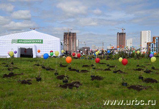 В Екатеринбурге высадили первые деревья в парке Преображенский в районе Академический