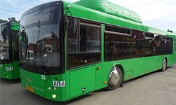 Электробус и автобусы на биотопливе