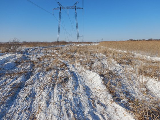 Сотрудники ФСК ЕЭС очистили трассы магистральных линий электропередачи от зарослей камыша в Челябинской области