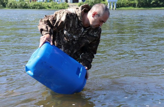 Распадская угольная компания выделит более 1,2 млн рублей на зарыбление сибирских рек