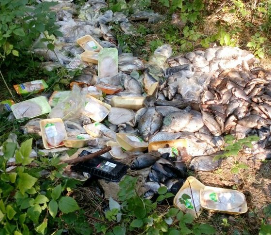 В Каменске-Уральском разыскивают виновных в организации свалки пищевых отходов рядом с профилакторием