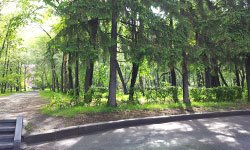 В Екатеринбурге завершается опрос по благоустройству парков