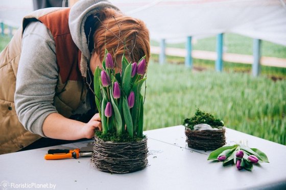 Как сохранить срезанные тюльпаны