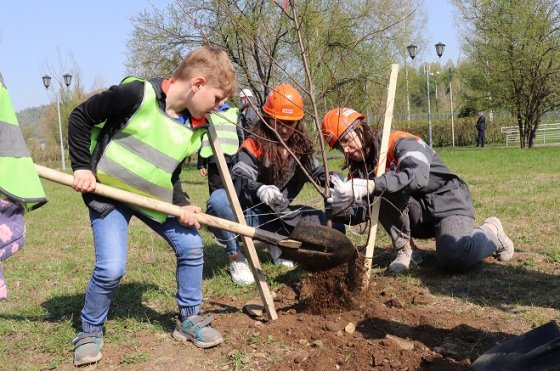 Работники Распадской угольной компании приняли участие в озеленении городов присутствия в рамках экологических акций