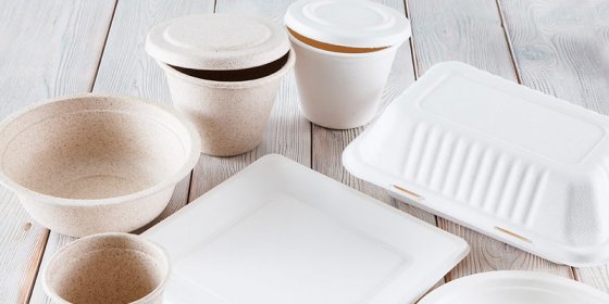 Почему биоразлагаемая посуда становится трендом современности?