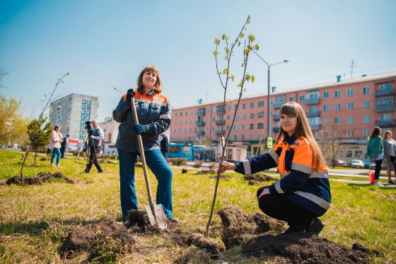 Сотрудники Распадской угольной компании высадили 200 молодых деревьев в Новокузнецке и Междуреченске