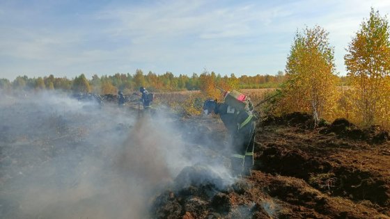 На тушение торфяного пожара в Свердловской области дополнительно направлено более 100 человек