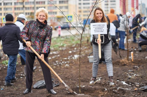 В Новосибирске в День учителя сотрудники УБРиР высадили новую липовую аллею