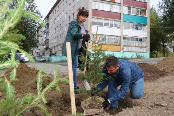 В 2022 году сотрудники ЕВРАЗа высадили на Урале более 500 деревьев и 60 тыс. различных цветов