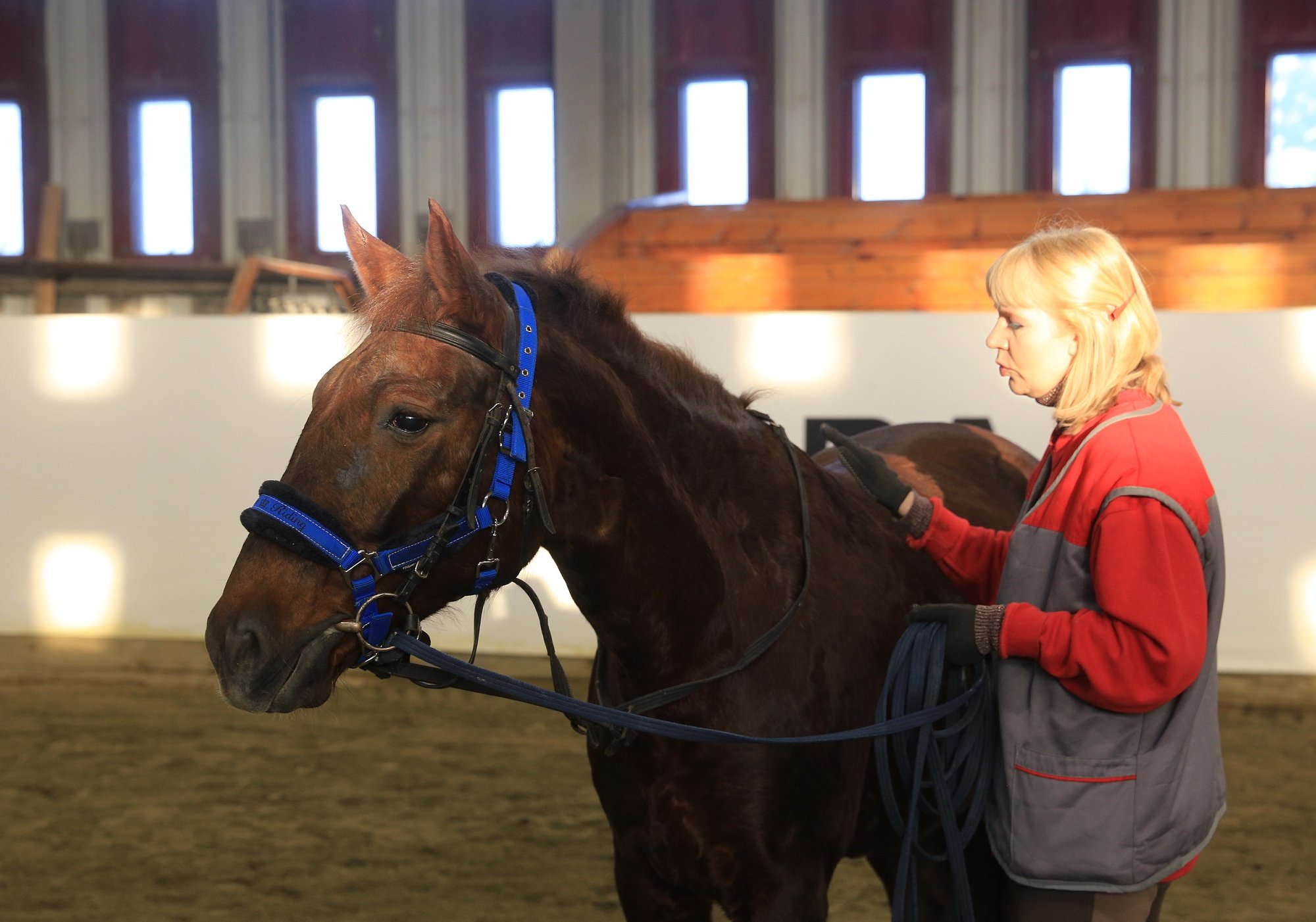 ЕВРАЗ купил новую лошадь для занятий в Нижнем Тагиле иппотерапией с детьми с ОВЗ