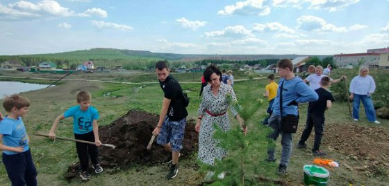 ЕВРАЗ принимает участие в озеленении Качканара и направит на эти цели 1 млн рублей