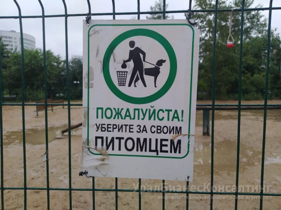 В парке «Южный» в Екатеринбурге реконструируют площадку для собак