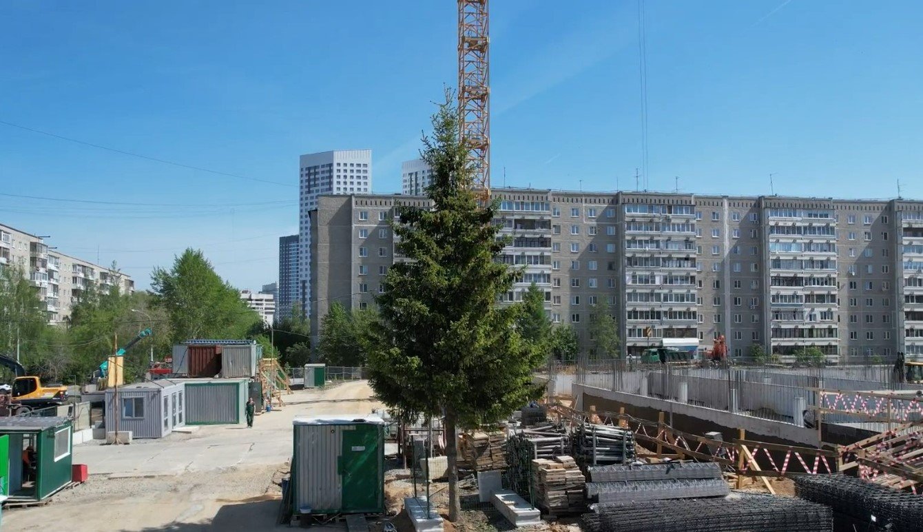 «Атомстройкомплекс» сохранит 8-метровую ель на территории будущей школы на улице Советской в Екатеринбурге