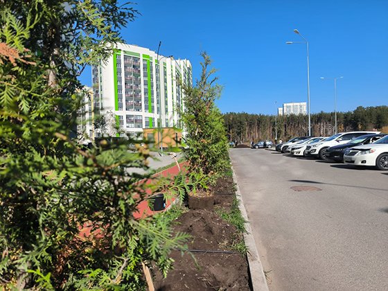 В Академическом районе Екатеринбурга высадили деревья в преддверии Дня федерального санитарно-эпидемиологического надзора