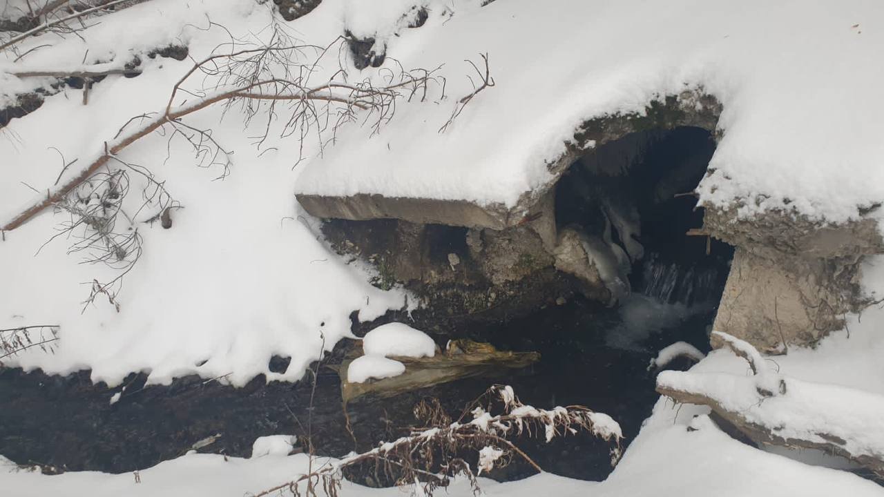 Свердловская природоохранная прокуратура обнаружила мазут в пруду в Реже