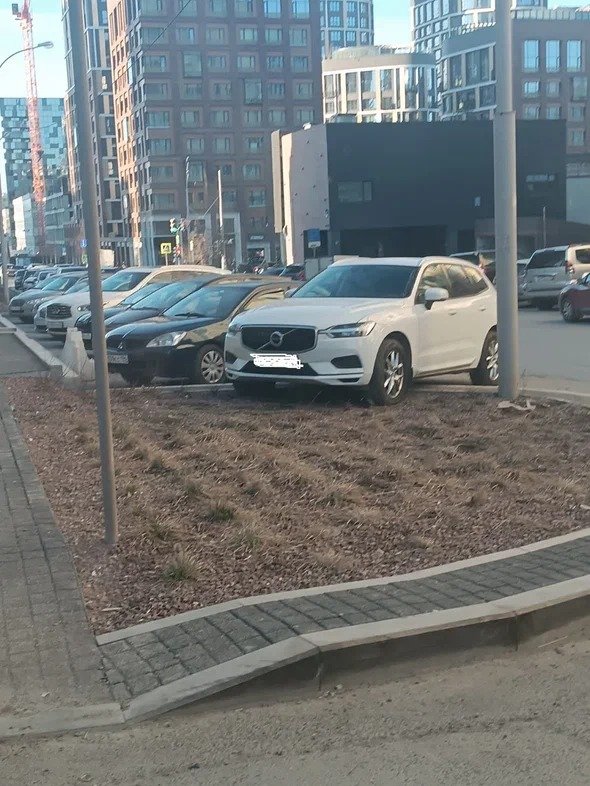 Суд взыскал с автомобилиста 80 тыс. рублей за парковку на газоне у жилого комплекса «Свобода Residence» в Екатеринбурге