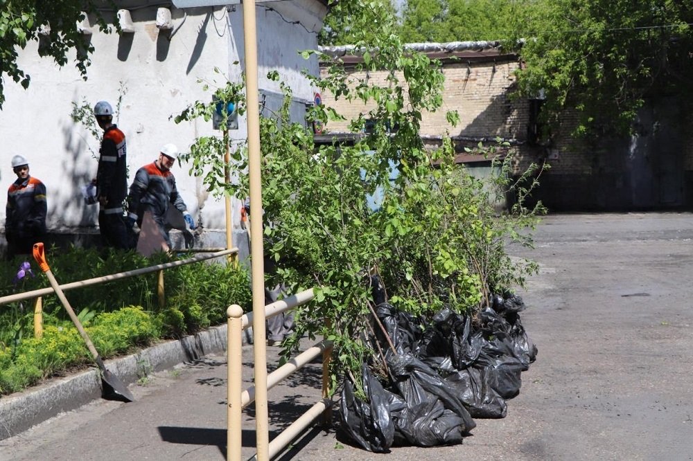 В честь 60-летия ЕВРАЗ ЗСМК на Абагурской обогатительной фабрике высадили более 160 саженцев цветущих кустарников и деревьев
