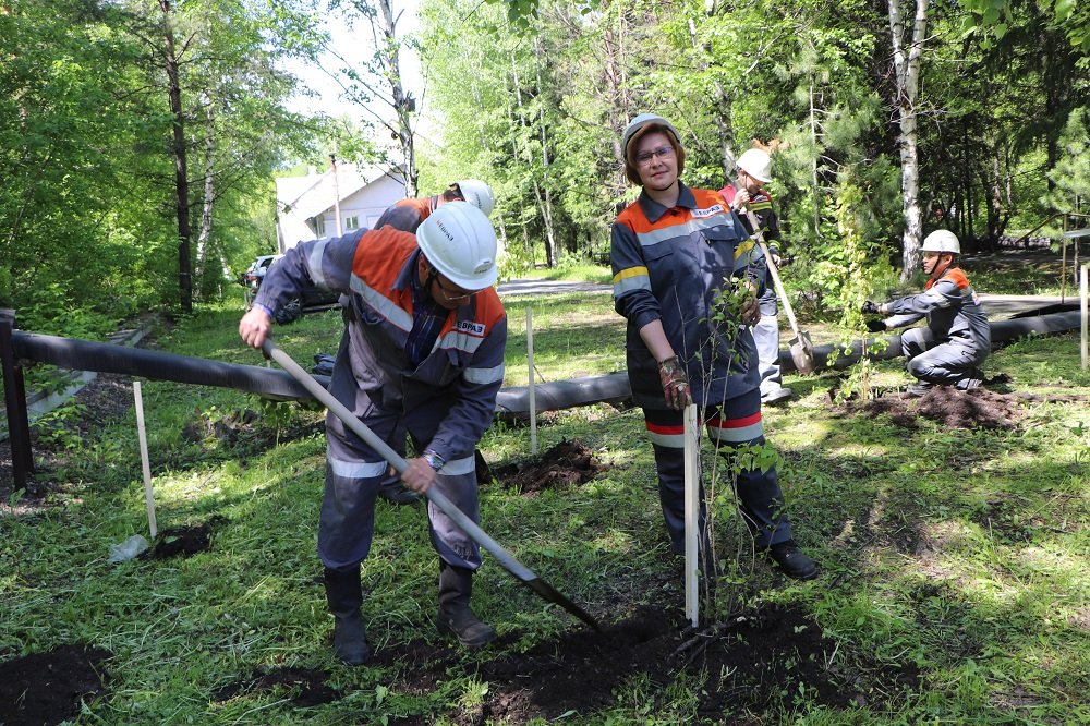 В честь 60-летия ЕВРАЗ ЗСМК на Абагурской обогатительной фабрике высадили более 160 саженцев цветущих кустарников и деревьев