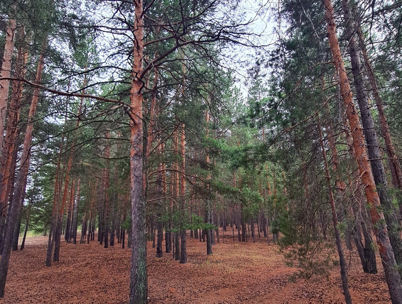 Куда ведет Большая уральская тропа