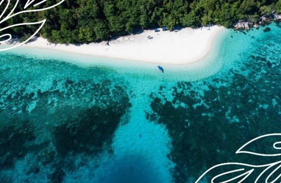 Урал занял третье место по туристическому потоку в Малайзию Урал занял третье место по туристическому потоку в Малайзию