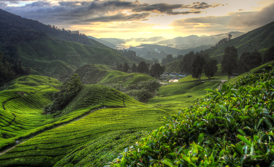 Урал занял третье место по туристическому потоку в Малайзию Урал занял третье место по туристическому потоку в Малайзию